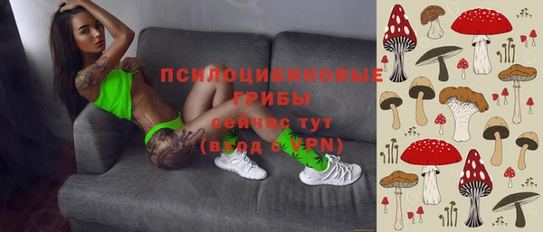 мет Тихвин