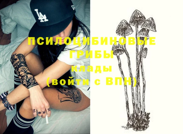 бошки Волоколамск