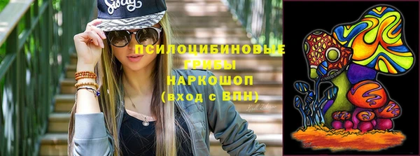 бошки Волоколамск