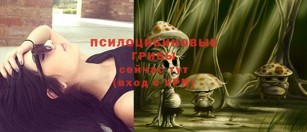 а пвп мука Тавда