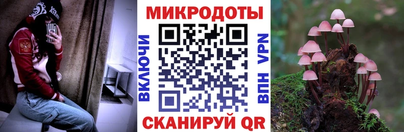 как найти закладки  Лянтор  Галлюциногенные грибы Psilocybine cubensis 